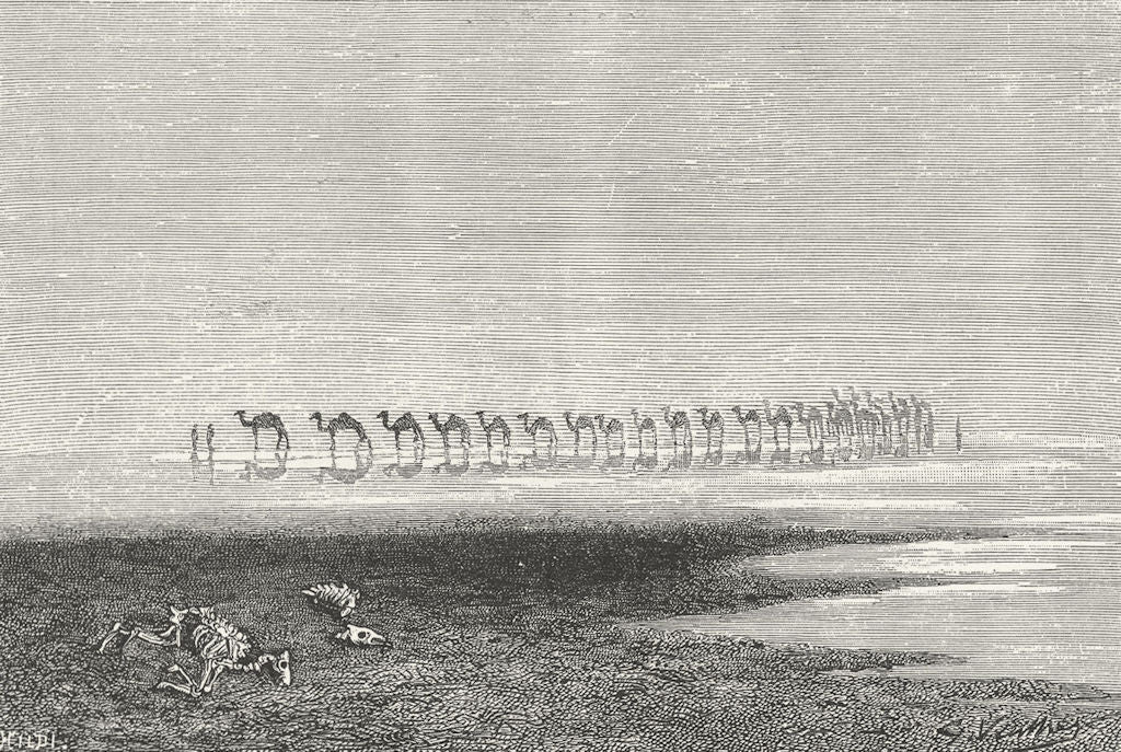 PAKISTAN. Camels crossing Rann of catch c1885 old antique print picture